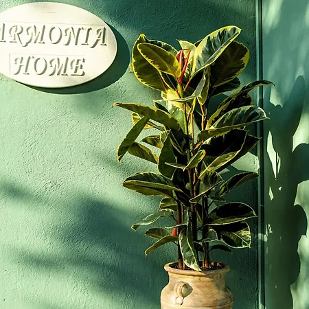 Armonia Corfu In Acharavi Apartmán Agios Panteleimon (Corfu)